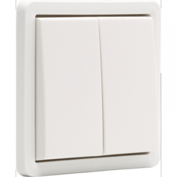 IP 55 bouton poussoir double 10a 2x no ou nf