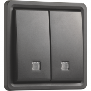 IP 55 bouton poussoir double 10a éclairable 2x no ou nf