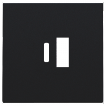 NIKO PURE niko afwerkingsset voor dubbele smart usb-a en usb-c lader black coated