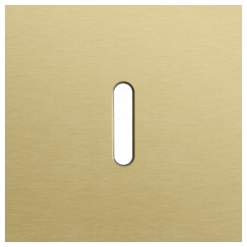 NIKO plaque de recouvrement pour des fonctions simple rocker alu gold brushed