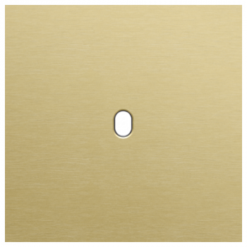 plaque de recouvrement pour des fonctions simple toggle alu gold brushed