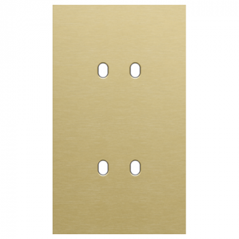 plaque de recouvrement double vert. 60 mm d'entraxe pour fonctions inter.double toggle alu gold brushed